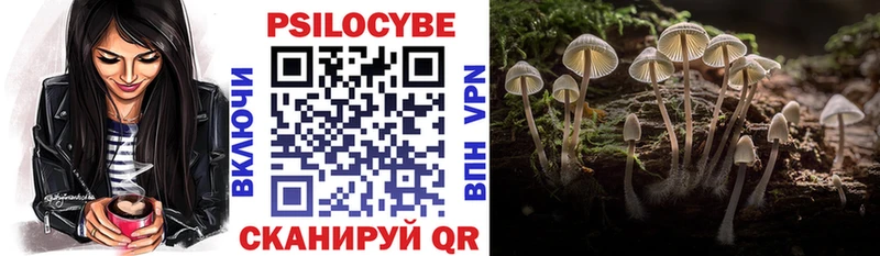 Галлюциногенные грибы Magic Shrooms  как найти закладки  Сосновый Бор 