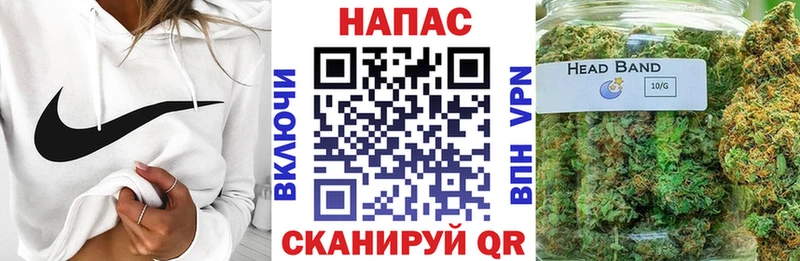 Бошки марихуана планчик  Сосновый Бор 